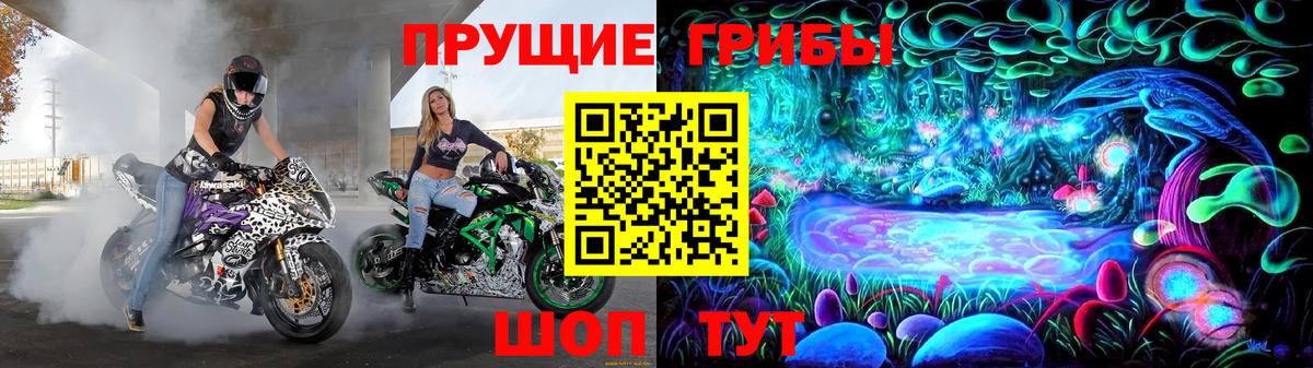 Псилоцибиновые грибы Psilocybe  Вход с VPN  Ангарск 